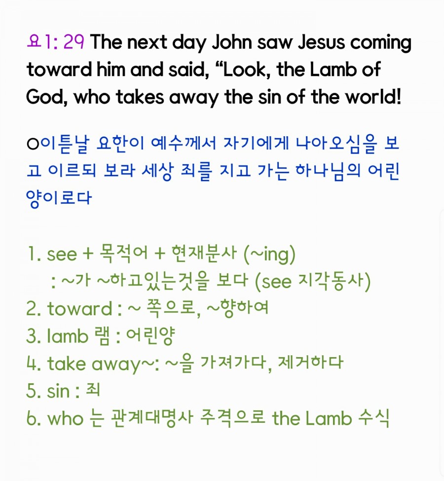 영어성경 - 요 1-29.jpg