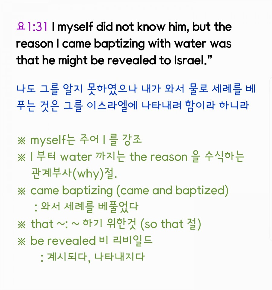 영어성경 - 요 1-31.jpg